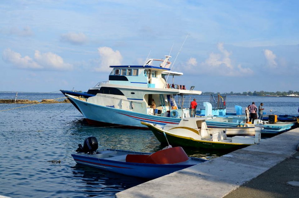 Maradhoo gai mas market alhaanei faraatheh hoadhan iulaan koffi