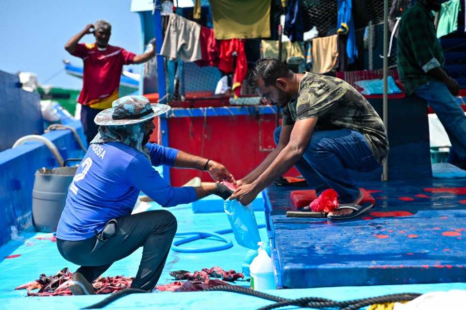 Roadhaige kuri masverinnah dhey buni faishaa dheefi