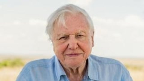 David Attenborough Instaram ah! mihaaruves record thah muguraalaifi