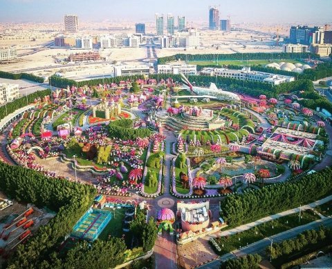 Dubai ge miracle garden alun hulhuvanee 