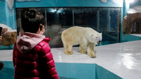 China gai Polar bear hotel eh hulhuvaifi