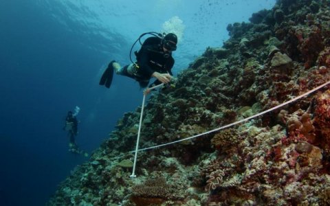 Noo raajje dhiraasaage muhimmu aalaatheh kandah gellijje