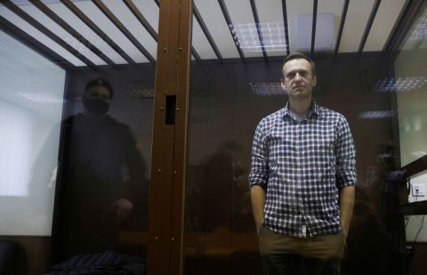 Navalni ge banduhai hoonukamuge halhuthaalu nimumakah gennany