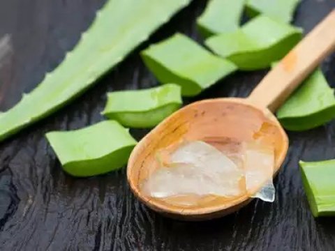 Aloe vera: Hangandah mivareh nei!