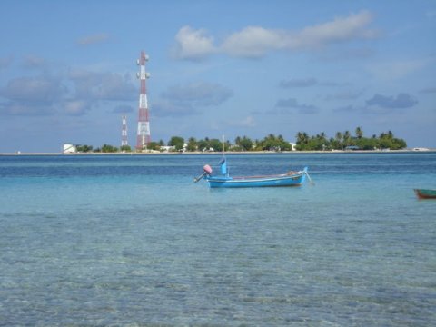 Dhiggaru council ge bi election bavvanee