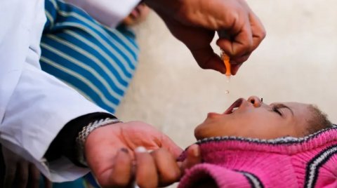 UK gai haluvi kamaa eku polio fethurenee