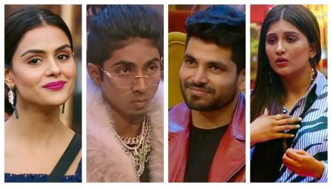 Bigg Boss 16: gadha fas baiverin nakee