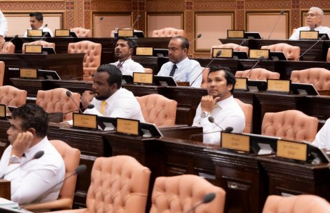 Majileehuge agenda ga maadhamaa othee 2 budget husha elhun, Nasheed ge massala eh nei!