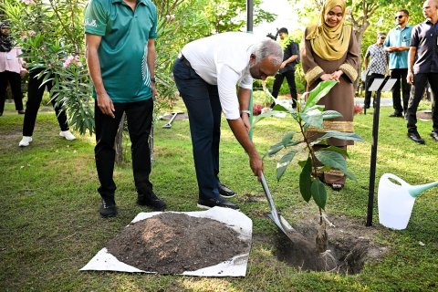 5 million gasindhumuge prograam ifuthithaahukoffi