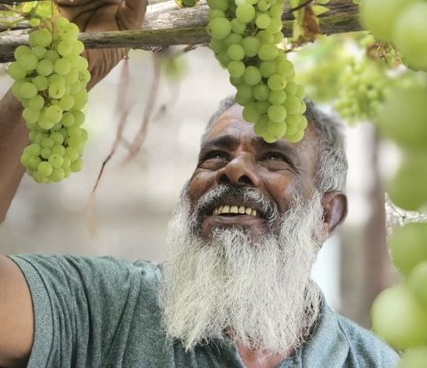 Abdhul latheef hadhdhaa meybiskadhuru ge raha varah foni