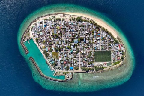 Holhudhoo gai zakham thakakaaeku anhenaku maraalaafai oivaa fenijje 