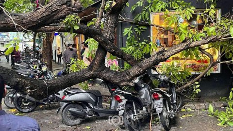 Maaveyo magugai huri bodu gaheh vettijje