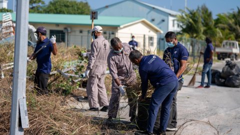 MACL ge muvazzafun hulhule saafu koffi