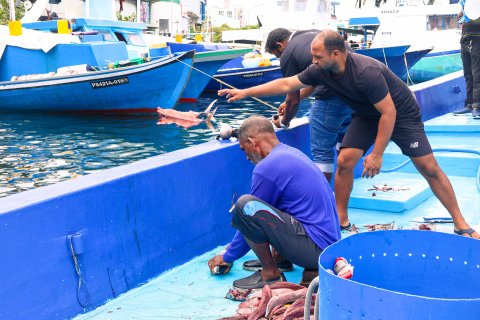 Masverinnah tuna race gai baiverivumuge furusathu hulhuvaalaifi