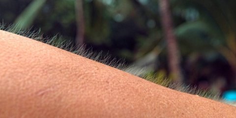 Heebihi negun: Mi ee kihineh vaa kameh?