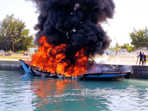 Vilufushi falhu thereygai oi theyo boatehgai alifaan roave meehaku fihijje