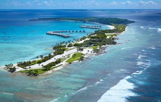 Shangrilla resort bandhu koffi