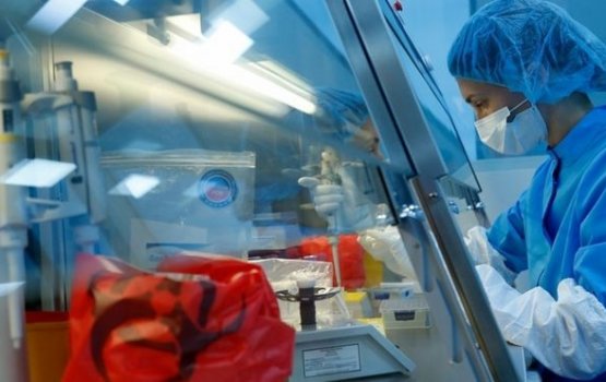 Russia in october mahugai vaccine dhinumuge campaign eh fashanee