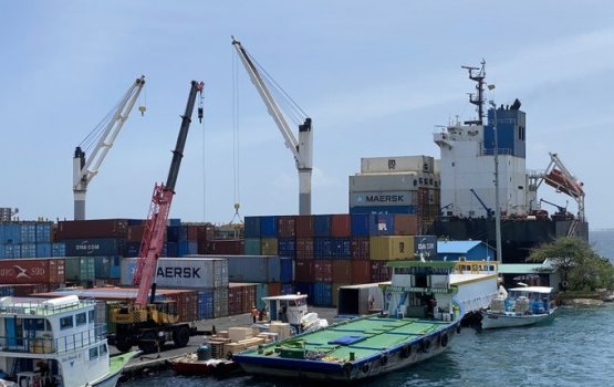 Import kuri mudhaluge minvaru 35% dhahve, aamdhanee 66% dhah