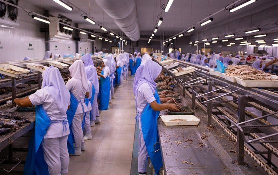 Felivaraai Kooddoo gai mas rakkaa kuraa jaaga 10,000 tonn ah ithuru kuranee