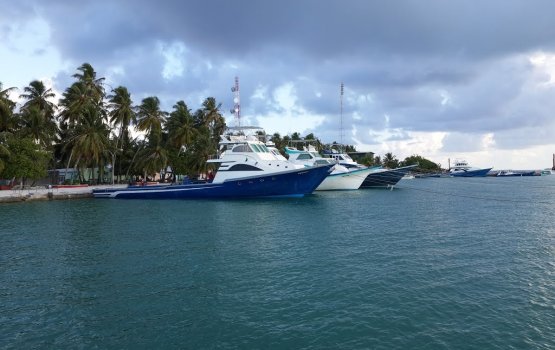 Th. Guraidhoo falhu thereah vettunu meehaku maruvejje