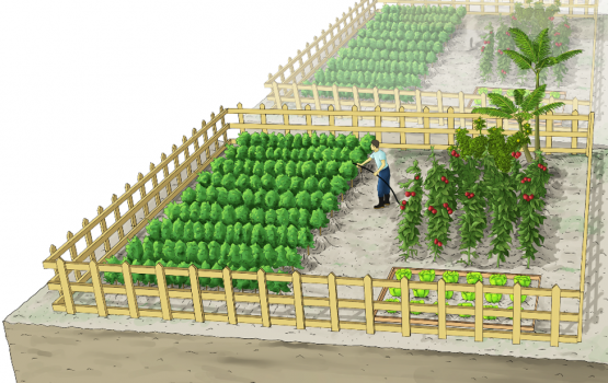 Hulhumale gai dhan'du hahdhan 16 bimeh dhenee