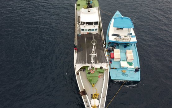 MIFCO in mas ganna agu dhah koffi