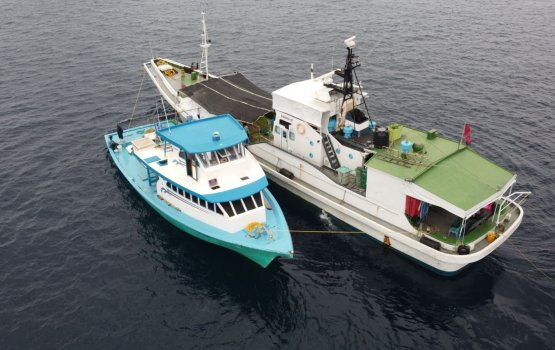 1.5 KG ah vure baru mas killo eh 13rf. ah e ahvure dhah 5.15RF ah