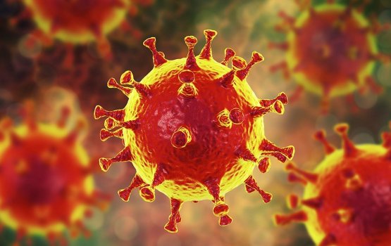 Covid-19 ge anti-body thah 6 masdhuvahah dhemihurey