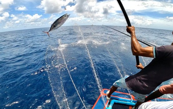 Kan'dumahun nagaa duty aa medhu ebbasvumakah aadheveyne kamuge ummeedhu bodu: Shahid