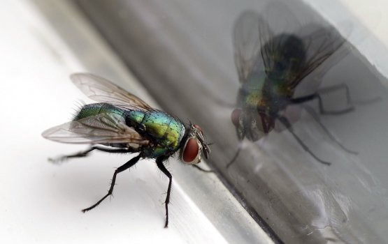 Messeh maran ulhenikoh geyge ehbai govvaalaifi