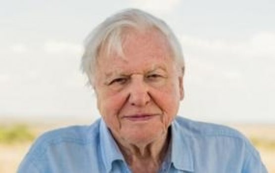 David Attenborough Instaram ah! mihaaruves record thah muguraalaifi