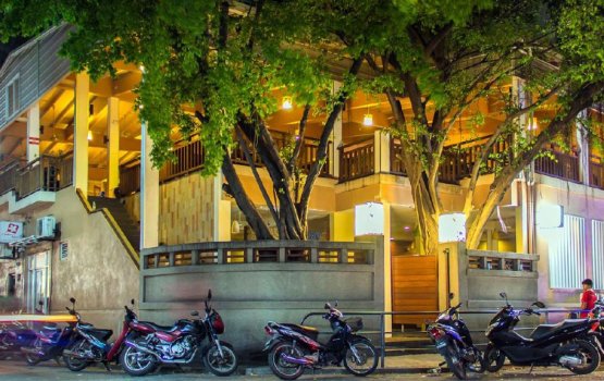 3 Million eh haa rufiyaa gellun vumun Salsa Royal bandhu koffi