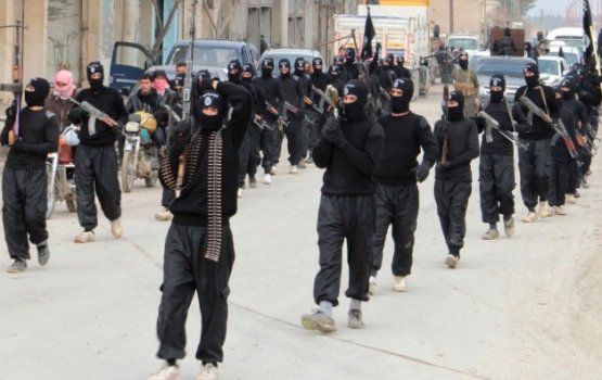 Syria hanguraama ah fahu rajje ai meehaku hayyaru koffi