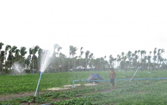 Aabaadheege 60% ah mahaku libey aamdhanee 5,000rf ah vure madhu: Survey