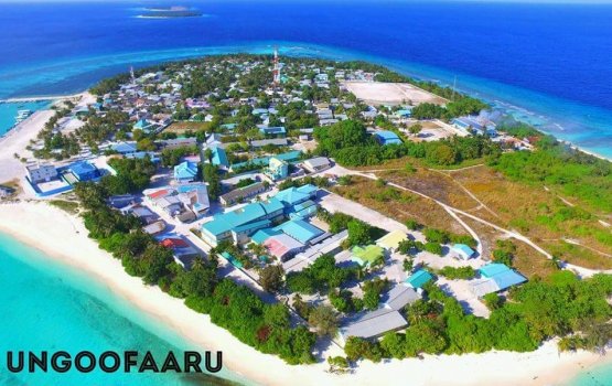 Ungoofaarah arai feybun manaa koffi