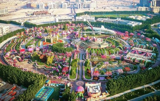Dubai ge miracle garden alun hulhuvanee 