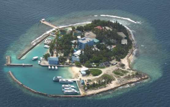 Dhoonidhoo in 13 meehaku covid ah positive vejje