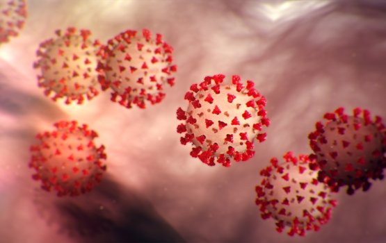 Covid-19 ge asaru dhuvas thakakah dhemigendhaa kamuge hekkeh