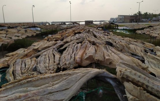 Customs gai thashu vefai huri mahuge shipment eh lanka ah ethere koffi