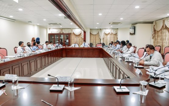 Aamdhanee hoadhan hushalhaa faivaa kankamuge kharadhaai faidhaa dhenegannan jehey