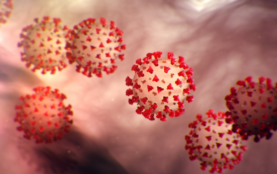 Coronavirus: Neyfathun vadhegen gos sikundi infect kohlaa