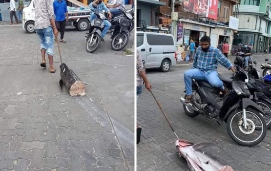 Mivaru vaa iru kama behey faraaithah koba 