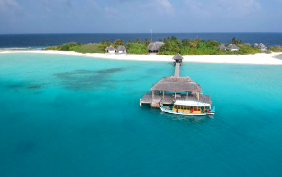 Habib Bank in negi loan eh nudhakkaigen, AA. Maaga vikkaalanee