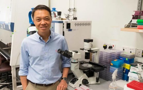 Covid ah faruvaa kureveyne antibody eh Singapore gai ufahdhaifi