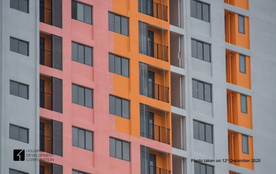 Civil service category in flat libunu meehun ge dhiri ulhumuge haalathu balanee