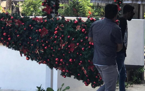 Maafushee athirimatheegai behetti christmas tree eh fuluhun nagaifi