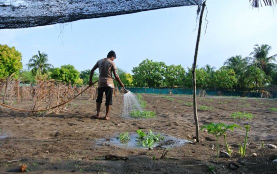 3 Rashakaai 1 bimugai resort eh tharahgee koh hingan hulhuvaalaifi