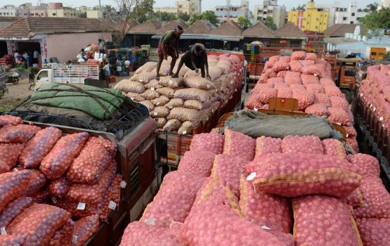 Fiya export kurumah india in alun fashany