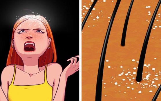 Bolugai hanfolheny tha? sababakee miee